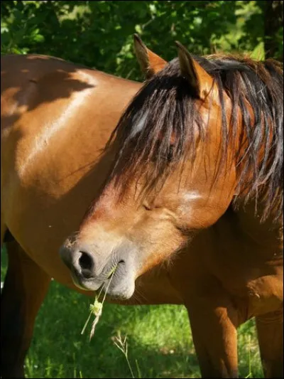 Que signifie "TREC" ?