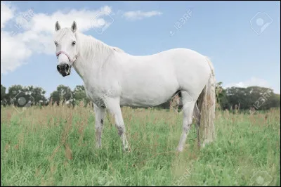 Quelle est cette robe ?