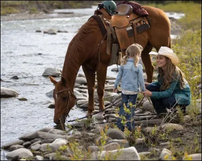 Quelle est cette discipline équestre ?