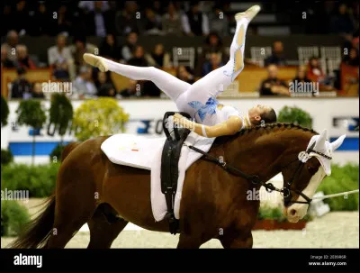 Quelle est cette discipline équestre ?