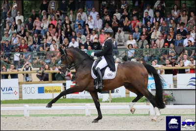 Quelle est cette discipline équestre ?