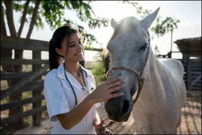 En quoi consiste la discipline du cross ?