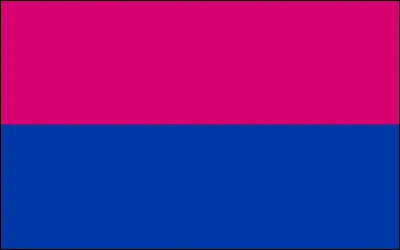 Celui-ci, c'est le drapeau...