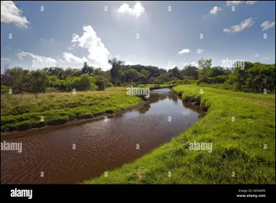 Règle n°4 : Il ne faut pas dépasser la frontière d'un autre clan :