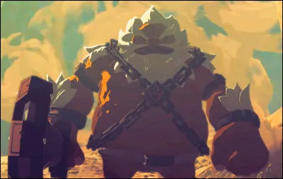 Il est le champion de la tribu Goron. Il utilise le pouvoir des Darukins pour invoquer des boucliers de protection. Qui est-il ?