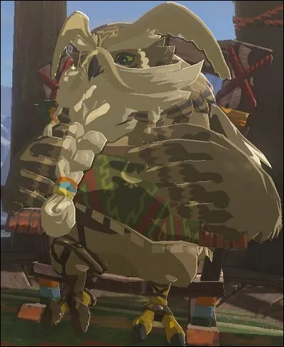 Il est le chef de la tribu du village Piaf dans la région des Confins de Tabanta. C'est le seul Piaf qui ait une apparence de hibou. Qui est-il ?