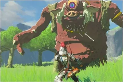 Ce sont de gigantesques créatures ''cyclopes''. Ils utilisent souvent des objets tels que des troncs d'arbres ou des rochers comme armes improvisées. Qui sont-ils ?