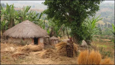 Ces images paradisiaques ne doivent pas nous faire oublier que c'est dans la zone tropicale que se situent les pays les plus pauvres du monde, et notamment sur le continent africain.
Quel est ce pays victime de pauvreté ou d'analphabétisme, situé entre la Tanzanie et le Rwanda, bordé par les rives du lac Tanganyika ?