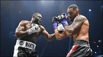 Sports et loisirs : Lequel de ces mots ne désigne pas un type de coup de poing à la boxe ?