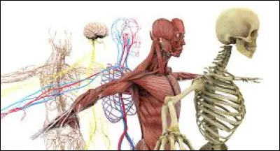 Sciences et nature : Quel organe est touché lorsque l'on souffre de cataracte ?