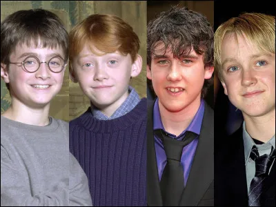 Quel garçon de ''Harry Potter'' préfères-tu ? (1)