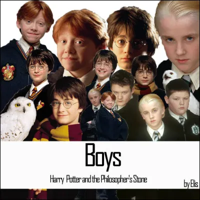 Quel garçon de ''Harry Potter'' préfères-tu ? (2)