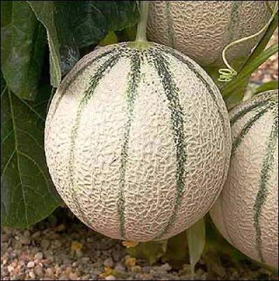 Que signifie l'expression "prendre le melon" ?