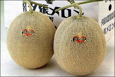 Au Japon, à combien de yens ont été vendus deux melons de la variété "Yubari King" ?