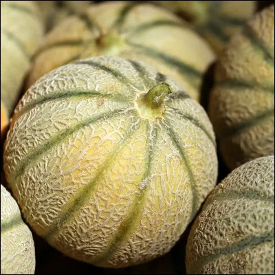 Dans quel pays le melon est-il principalement cultivé ?