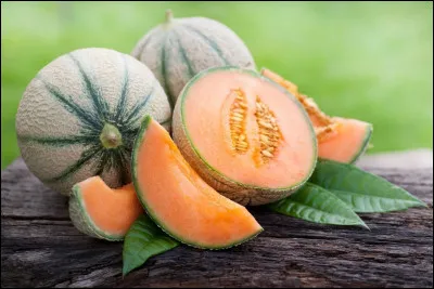 Selon de nombreux sites internet, quel est le meilleur melon ?