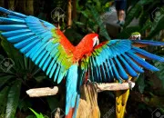 Quiz Quiz espagnol/fran�ais