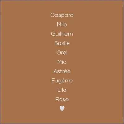 Quel genre de pr&eacute;nom aimerais-tu avoir ?