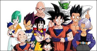 Quel est cet animé ?