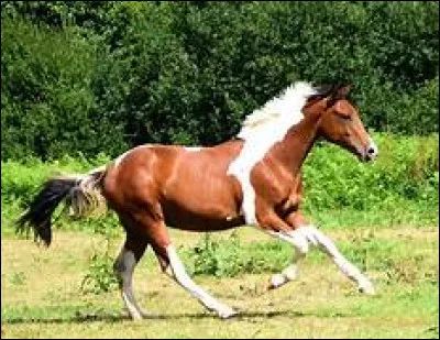 Quelle est la transition montante ?