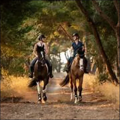 À quelle allure devez-vous aller si vous croisez un autre cheval en balade ?