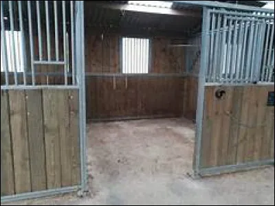 En quoi la litière peut-elle être faite ?