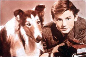 Comment se prnomme l'ami fidle du clbre Colley dans 'Fidle Lassie' et 'Le Fils de Lassie' ?