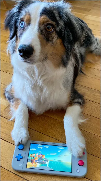 Quel est sa race de chien ?