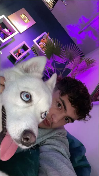 À qui appartient-il ?