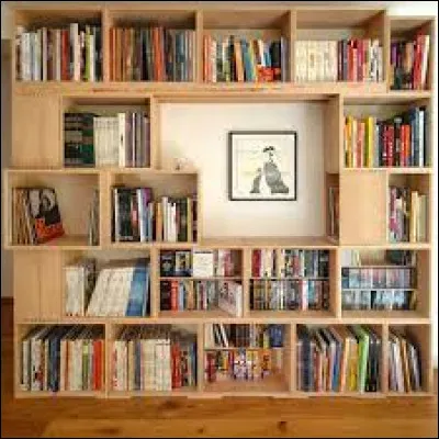 Quel genre de livre lisez-vous ?