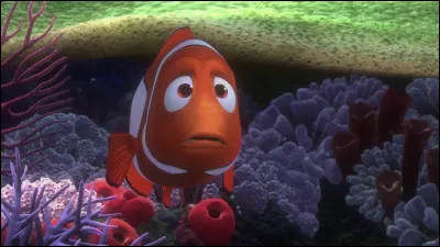 Ce petit animal me rappelle quelqu'un, c'est peut-être...