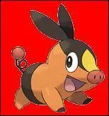 De quel type est ce pokmon ?