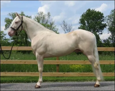 Fin et musclé, combien pèse-t-il ?