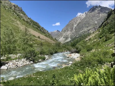 Cette rivière torrentueuse, longue de 78 km, prend sa source à 2000 mètres dans le nord du massif des Écrins, borde le massif de la Meije, arrose Bourg-d'Oisans et Vizille, et se jette dans le Drac :