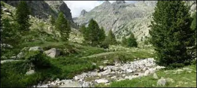 Cette rivière, longue de 70 km, est le principal affluent du Var ; elle prend sa source dans le massif du Mercantour, à proximité du col de la Bonette, à environ 2 650 mètres d'altitude puis coule vers le sud et rejoint le Var :
