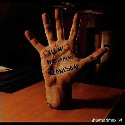 Quel est le nom du compagnon de Mercredi ?