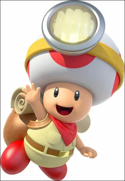 Qui est le capitaine Toad ?