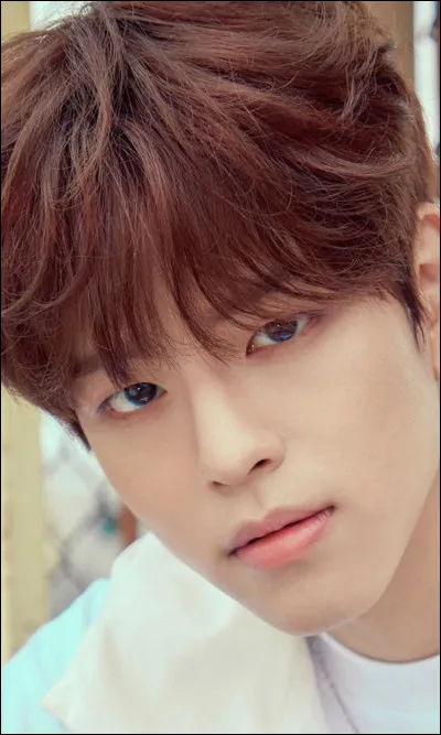 Parmi les différentes propositions ci-dessous, laquelle est ta nourriture préférée ?