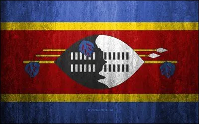 À quel pays appartient ce drapeau ?