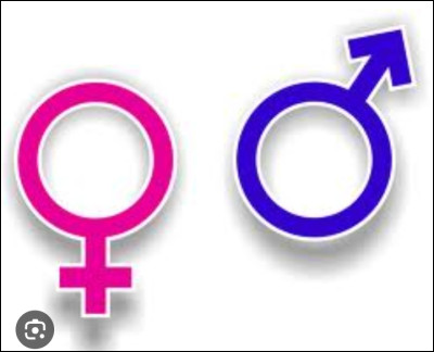 J'aurais dû te poser cette question avant : es-tu une fille ou un garçon ?