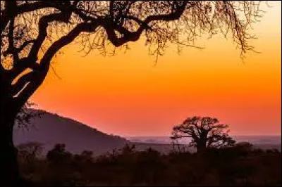 Quel est le pays le plus peuplé d'Afrique avec 216 millions d'habitants ?