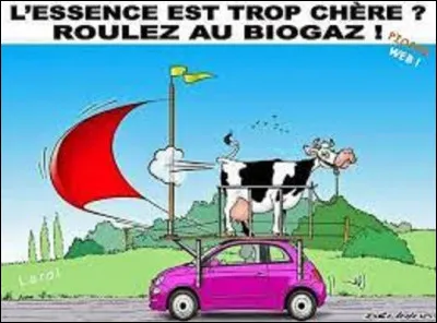 Comment écrit-on vache en italien ?