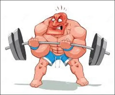 De combien de muscles le corps humain est-il constitué ?