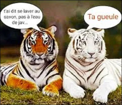 Le savon a été inventé il y a environ...