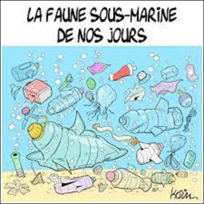 Quel est le plus vaste océan de notre planète ?