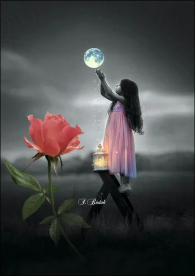 Qui interprétait les paroles "Le ciel est si bas sur les dunes que l'on croirait toucher la lune, dans sa chanson "Musulmanes" ?