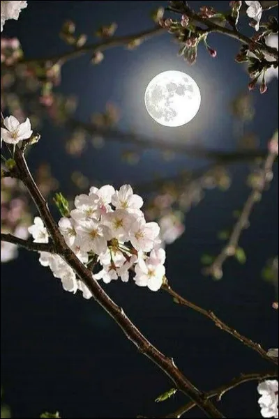 Quel est le premier homme à avoir posé un pied sur la Lune ?