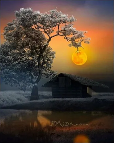 Quelle auteure américaine a écrit le roman policier "La Maison du clair de lune" ?