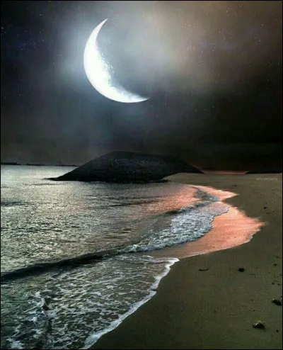 Qui chantait en duo avec Barbara "Pour une longue dame brune, j'ai inventé une chanson au clair de la lune..." ?