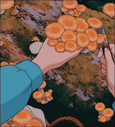 Dans quel Ghibli pouvons-nous voir ces champignons ?